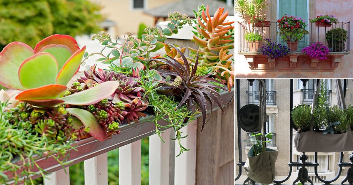 Balcon : 20+ idées de jardinières de balustrade à monter soi-même